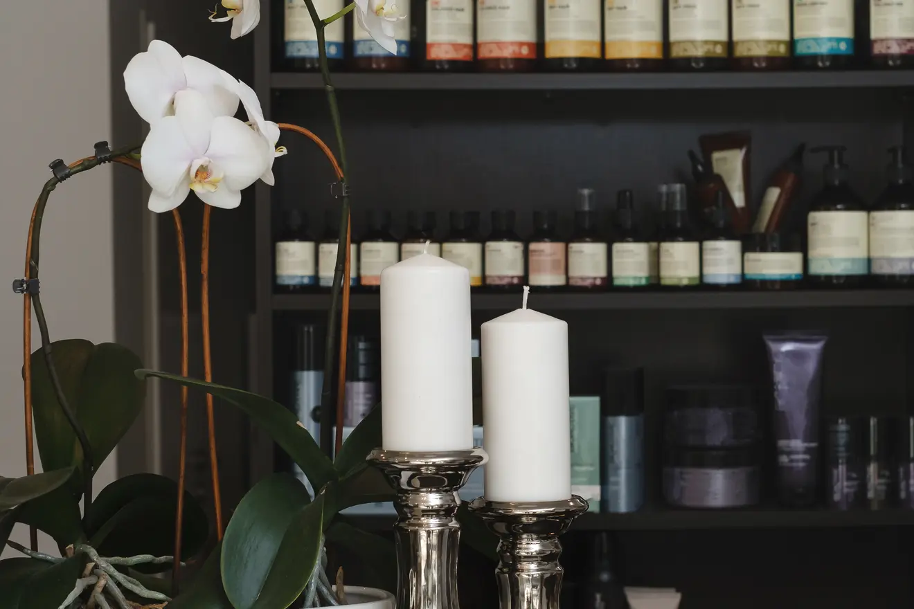 Orchid plant and bottles on shelves